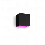 Philips Hue WCA Resonate Outdoor Downward Wall Lantern, Black | 8 W | 2000-6500 Hue White Colour Ambiance