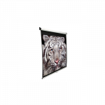Elite Screens | M85XWS1 | Diagonal 215 cm | 1:1 | Viewable screen width (W) 152.4 cm | White