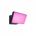 Philips Hue WCA Discover Outdoor Floodlight | 2000-6500 Hue White Colour Ambiance