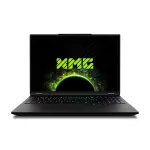 Schenker XMG Core 16 M25 16&Prime; WQXGA Ryzen AI 7 350 32GB/1TB SSD RTX 5060 Win11 Home Black (10506444) | 10506444 | 4250519970769