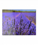 Stiklinė pjaustymo lentelė 40x30cm,Lavanda