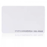 ISO kortelė RFID S301A