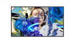 Hikvision monitorius SP 43",  DS-D6043UN-DP