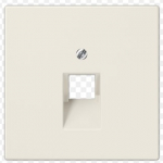 Kompiuterinio lizdo apdaila JUNG LS969-1UA (dramblio kaulo, 1xRJ45)