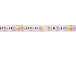 AKTO 50HM-5050-60-RGBWW-AK Led RGB juosta