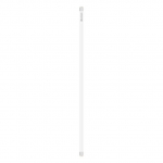 LED lempa Ledvance TUBE T8 4099854434686 (18.3W, 840, 1.5m)