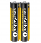 Baterija everActive Industrial Alkaline LR03 AAA (2 vnt.)