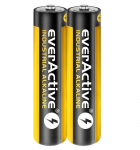 Baterija everActive Industrial Alkaline LR06 AA (2 vnt.)