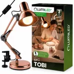Led lempa sodui, terasai ar takeliui, 30cm skersmuo, atspari vandeniui
