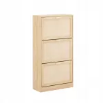 Batus spintelė su 3 skyriais prie&scaron;kambario staliukas &scaron;viesaus ąžuolo spalvos 60x24x118cm FSR159-N