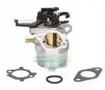 Karbiuratorius Briggs & Stratton 700 750 DOV 591852