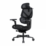 Ergonominė kėdė ThunderX3 FLEX Pro, tinklas, juodas