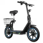 TWOFISH M5 Elite elektrinis paspirtukas 500 W variklis, 48V13Ah