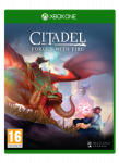 Citadel: Forged with Fire