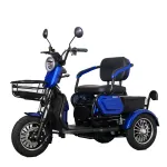 Elektrinis triratis motoroleris / mopedas M20EEC, 1kW 20AH Mėlyna