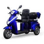 Elektrinis triratis motoroleris / mopedas MS04, 1kW 20AH EEC Mėlyna