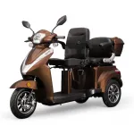 Elektrinis triratis motoroleris / mopedas MS04, 1kW 20AH EEC Ruda