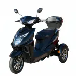 Elektrinis triratis mopedas / skuteris MS06, 1kW 20AH Ličio jonų Juoda