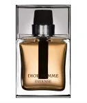 Christian Dior, Dior Homme Intense, Eau De Parfum, Vyrams, 100 ml