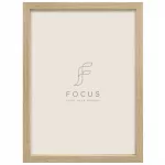 FOCUS Willow Oak 10x13