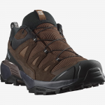 SALOMON apavi X Ultra 360 LTR GTX dark brown/black