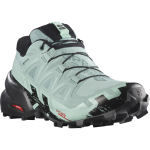 SALOMON batai Speedcross 6 GTX W &scaron;viesiai žalia/juoda