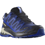 SALOMON batai XA Pro 3D V9 GTX mėlyna/juoda