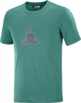 SALOMON mar&scaron;kinėliai Explore Blend Tee green