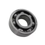 PGO T-Rex 125/150 Bearing A22