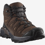SALOMON apavi X Ultra 360 LTR Mid GTX dark brown/black