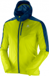 SALOMON vėjo megztinis su gobtuvu Fast Wing Hoodie žalia/mėlyna