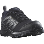 SALOMON batai Wander GTX W juoda/pilka