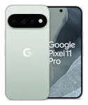Google Pixel 11 Pro 5G 12RAM 256GB fog (GA12134-GB)