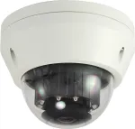LevelOne FCS-3306 IP security camera Innen & Auen Kuppel Wei (FCS-3306)