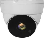 LevelOne ACS-5302 CCTV Sicherheitskamera Innen & Auen Kuppel Zimmerdecke (ACS-5302)