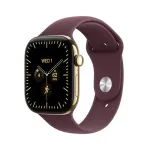APPLE WATCH 12 46 RG TI BR - SB ML CEL-FDN