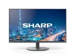 DD-E224F 22IN LCD LED - 1920X1080 DP HDMI BLACK