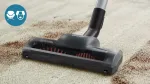 Philips 5000 series FC9556/09 vacuum 1.5 L Cylinder vacuum 750 W Bagless