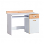 Ra&scaron;omas stalas L10