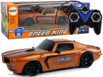 Nuotoliniu būdu valdomas sportinis automobilis 1:18 &bdquo;Brown Champion Pilot&ldquo;