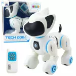 Interaktyvus robotas &scaron;uniukas su pultu