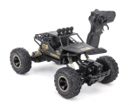 Didelis nuotolinių būdu valdomas RC automobilis 4X4
