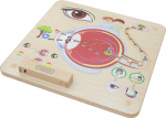 MASTERKIDZ Montessori regos pojūčių ugdymo lenta