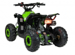 Keturratis su vidaus degimo varikliu RENEGADE HIPERFECT 110CC žalias