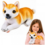 Pliu&scaron;inis Shiba Inu &scaron;uniukas 25 cm