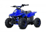 KETURRATIS ATV 125 DEGIMO VARIKLIS BIG FOOT