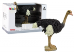 Collector's figurine Ostrich Animals of the World series