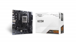 BIOSTAR A620MT-E 2.0 motininė plok&scaron;tė