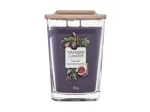 Yankee Candle Elevation Collection Fig & Clove 552 ml