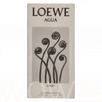 Loewe Loewe Agua Drop Edp Spray Eau De Parfum 100 ml